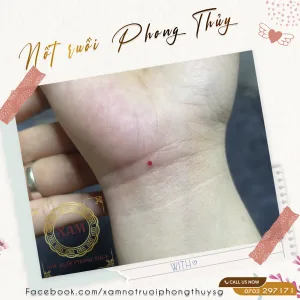 Not ruoi phong thuy 2